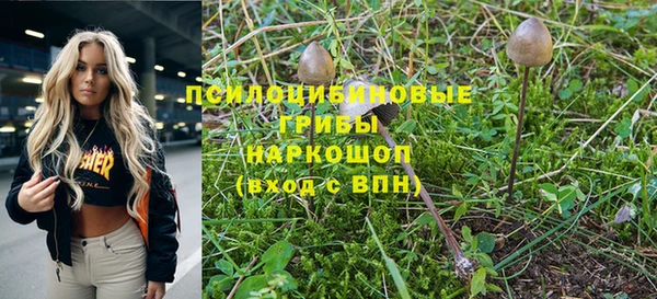 экстази Вяземский