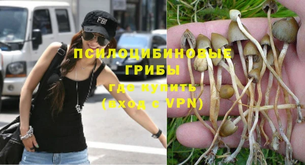 экстази Вяземский