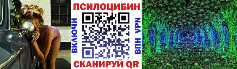 Галлюциногенные грибы Cubensis  сайты даркнета какой сайт  Железногорск 