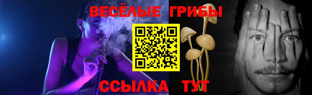 Псилоцибиновые грибы Cubensis  Вход с VPN  купить   Железногорск 